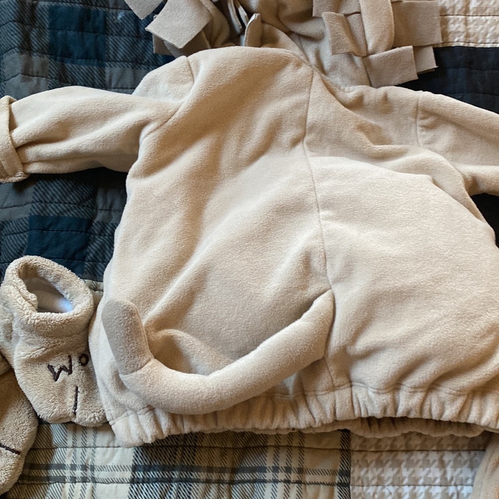 Lion costume - Picture 6 of 7
